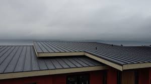 Steel Roofing in Burkesville, KY